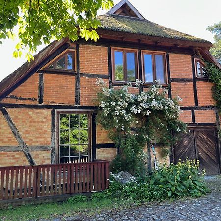 Pfarrhaus Tollensesee Penzlin Екстериор снимка