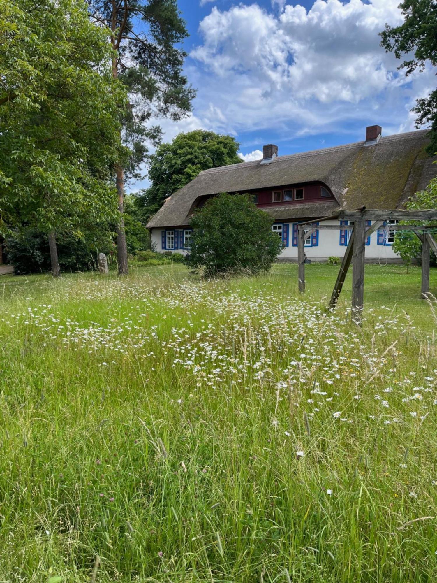 Pfarrhaus Tollensesee Penzlin Екстериор снимка