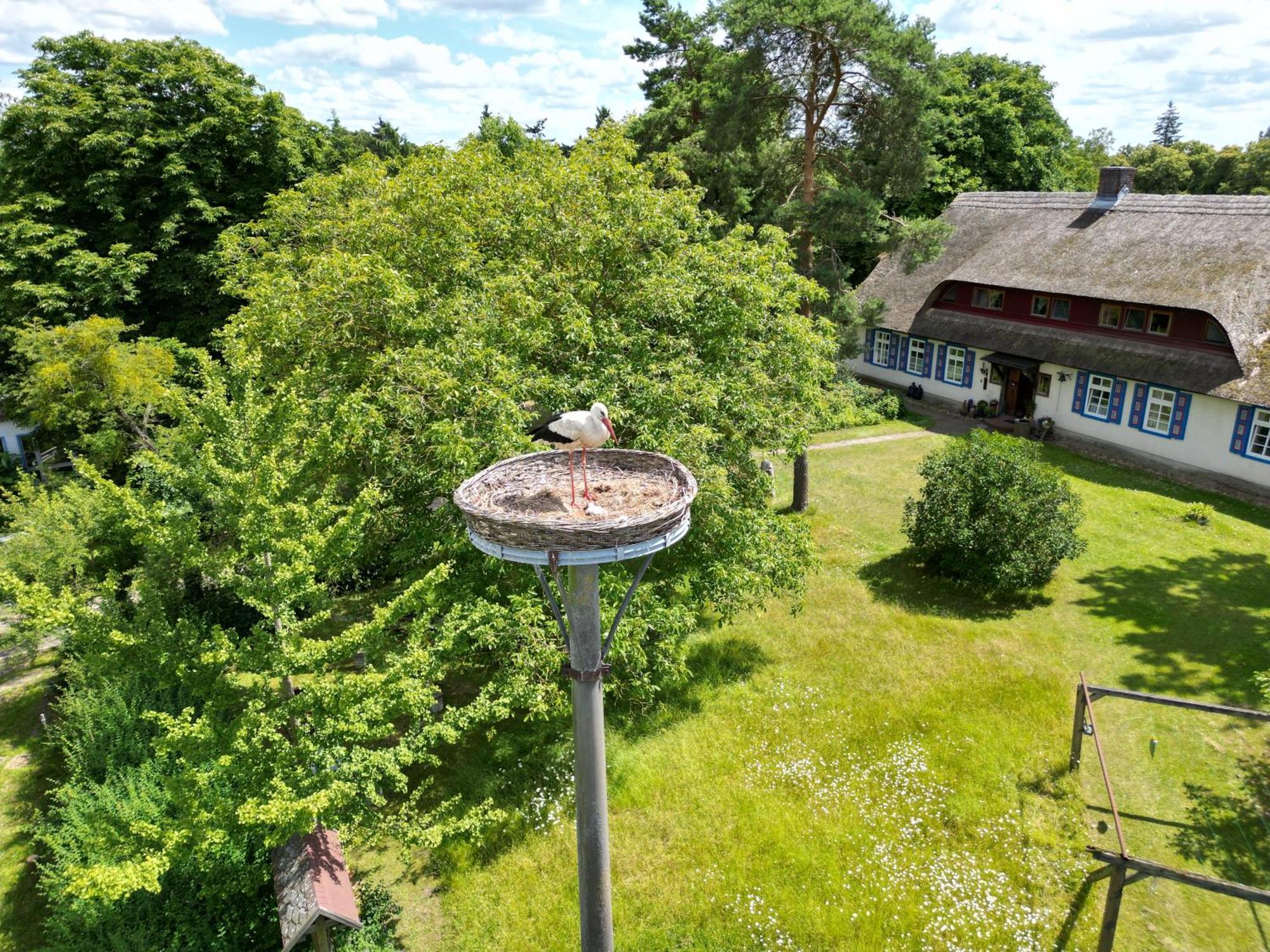 Pfarrhaus Tollensesee Penzlin Екстериор снимка